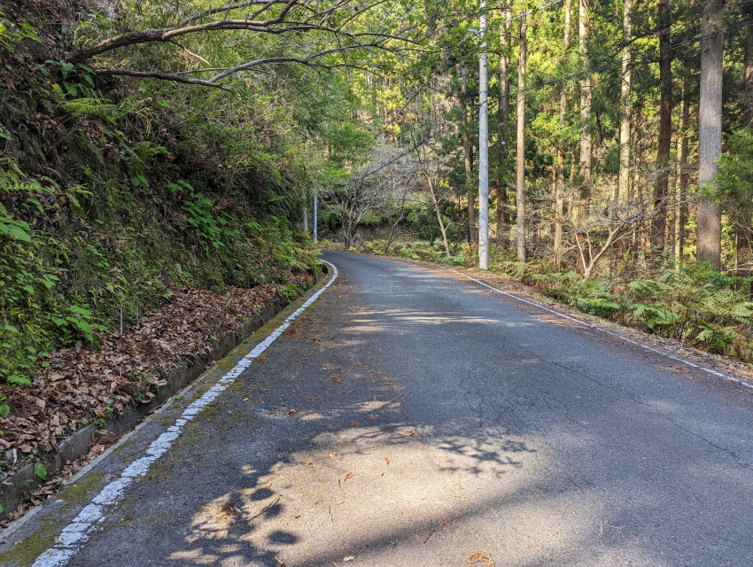 オートキャンプ場銀河 道路