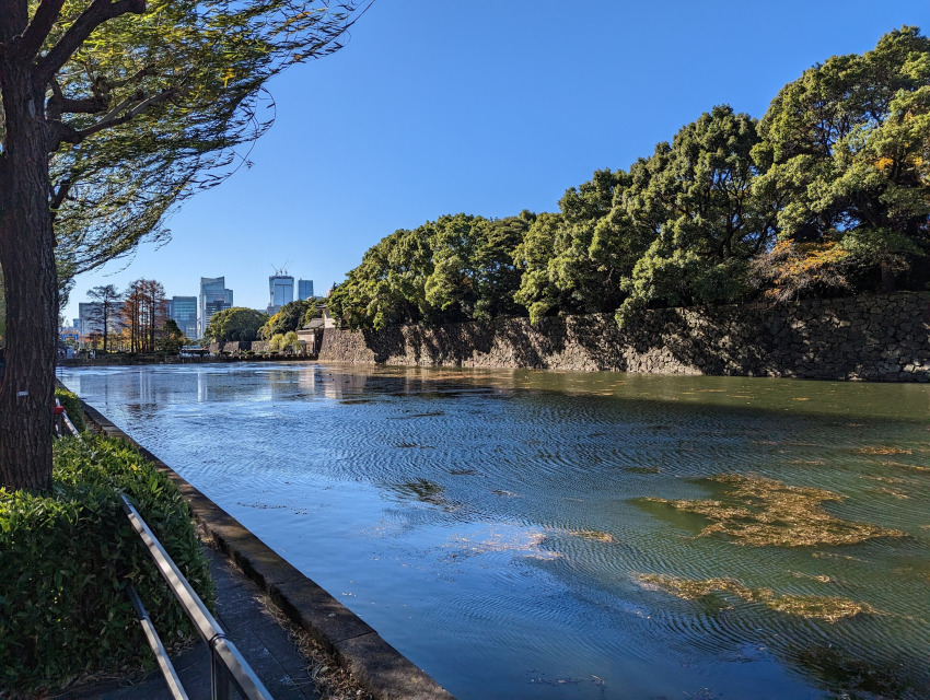 Google Pixel6 Google Pixel7 Pro 比較 カメラ